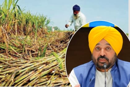 Sugarcane Price Hike: Punjab Government's Latest Announcement