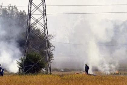 Supreme Court demands action against farmers burning stubble