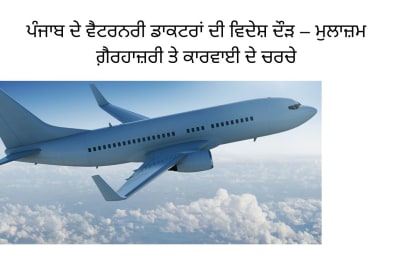 Punjab Veterinary Doctors Moving Abroad – Highlights on Foreign Migration, Government Actions, and Impact on Animal Husbandry Department