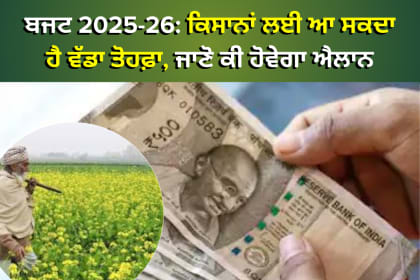 ਬਜਟ 2025-26: ਕਿਸਾਨਾਂ ਲਈ ਆ ਸਕਦਾ ਹੈ ਵੱਡਾ ਤੋਹਫ਼ਾ,