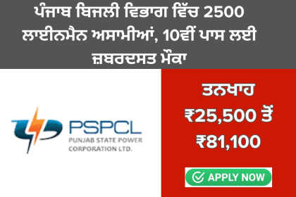 ਪੰਜਾਬ ਬਿਜਲੀ ਵਿਭਾਗ ਵਿੱਚ 2500 ਲਾਈਨਮੈਨ ਅਸਾਮੀਆਂ, 10ਵੀਂ ਪਾਸ ਲਈ ਜ਼ਬਰਦਸਤ ਮੌਕਾ