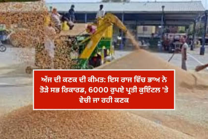 ਇਸ ਰਾਜ ਵਿੱਚ ਭਾਅ ਨੇ ਤੋੜੇ ਸਭ ਰਿਕਾਰਡ, 6000 ਰੁਪਏ ਪ੍ਰਤੀ ਕੁਇੰਟਲ