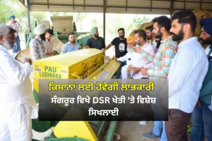 ਸੰਗਰੂਰ ਵਿਖੇ DSR ਖੇਤੀ 'ਤੇ ਵਿਸ਼ੇਸ਼ ਸਿਖਲਾਈ
