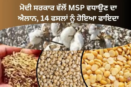 ਮੋਦੀ ਸਰਕਾਰ ਵੱਲੋਂ MSP ਵਧਾਉਣ ਦਾ ਐਲਾਨ, 14 ਫਸਲਾਂ ਨੂੰ ਹੋਇਆ ਫਾਇਦਾ