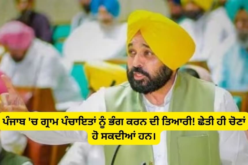 Punjab govt. suspended gram panchayat