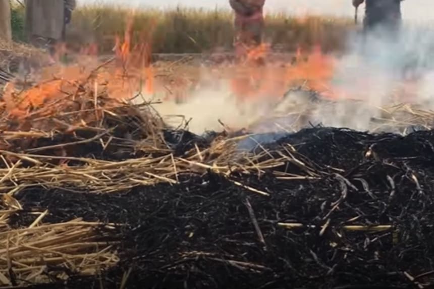 Stubble burning in punjab