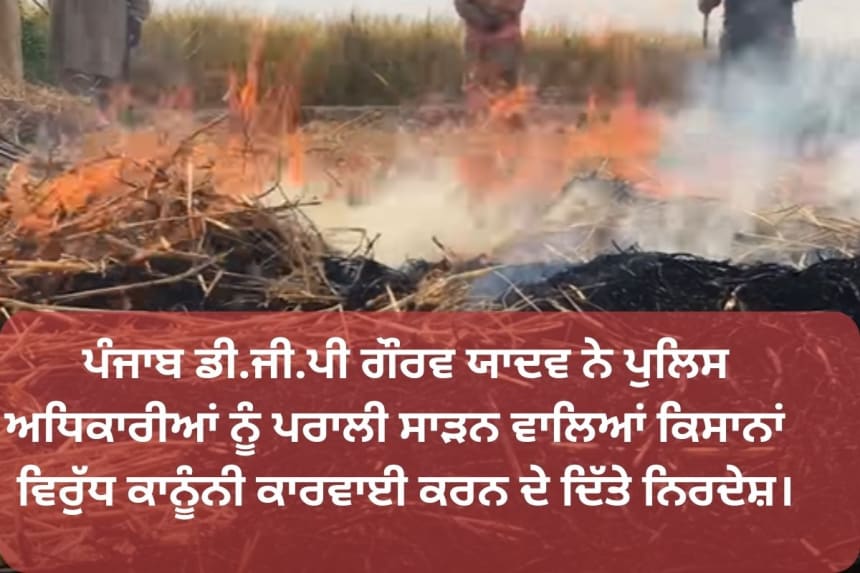 Farmers Paddy stubble burning/punjab news/ Punjab Mode