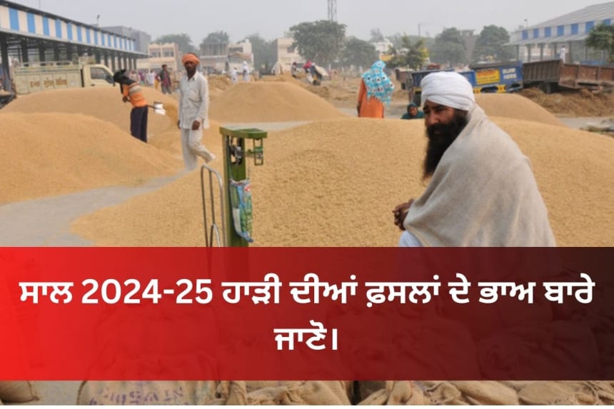 Rabi Crops MSP 2024