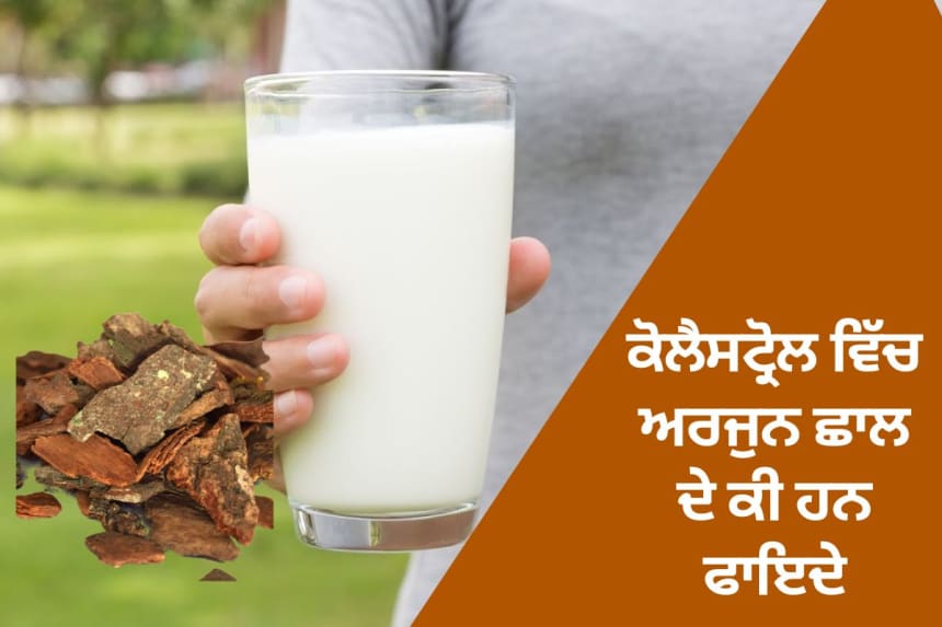 Arjun chhal take with milk helps to control cholesterol level