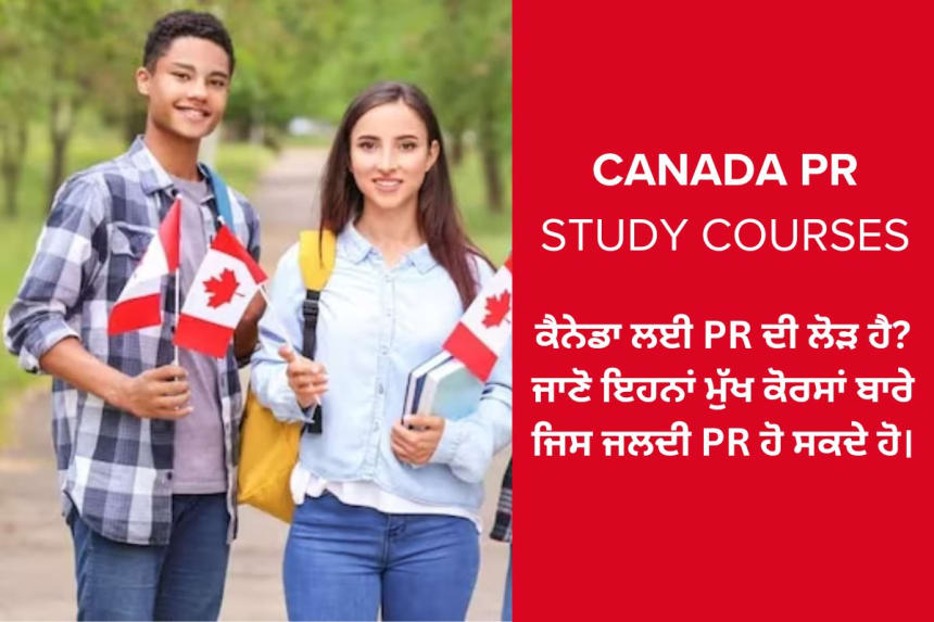 International students main study courses list for get PR in Canada