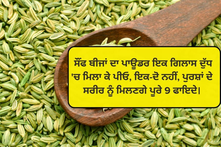 Fennel (Sonf) seeds benefits for body in punjabi