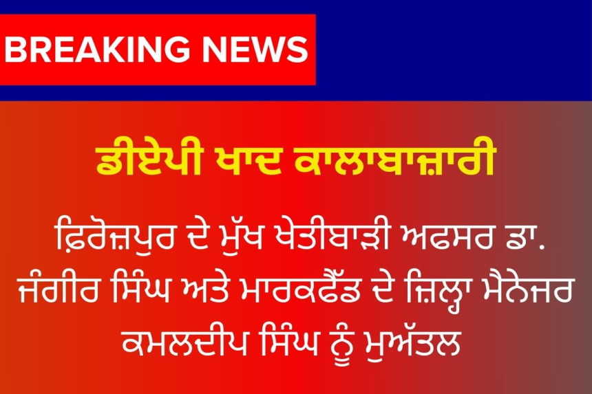 punjab-dap-fertilizer-shortage-black-market-action