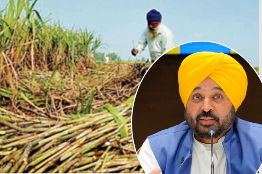 Sugarcane Price Hike: Punjab Government's Latest Announcement