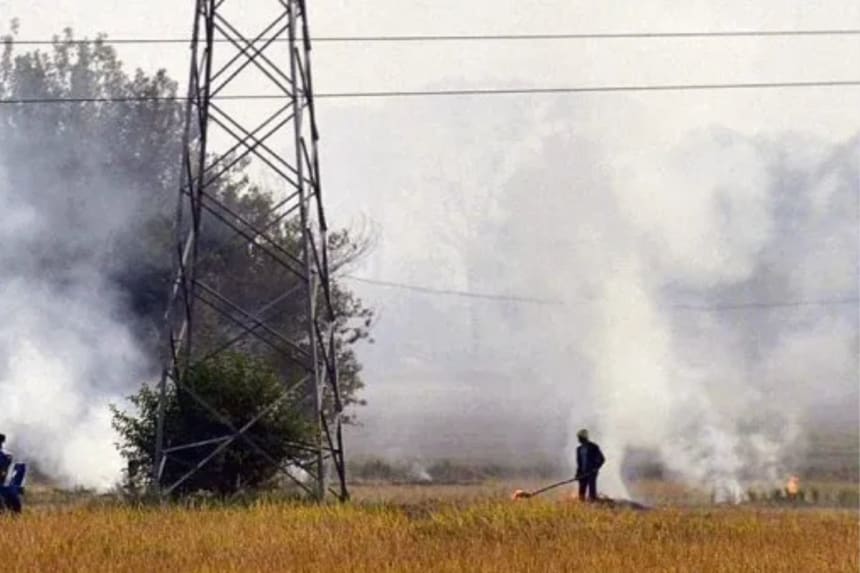 Supreme Court demands action against farmers burning stubble
