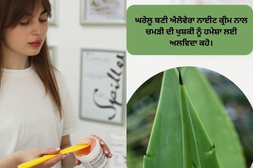 Aloe Vera Night Cream for dry skin with natural ingredients like Aloe Vera gel, almond oil, and rose water
