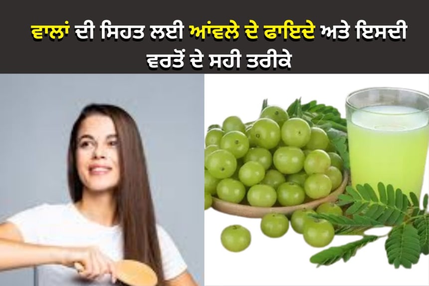 Natural Amla for healthy hair growth and thicker hair