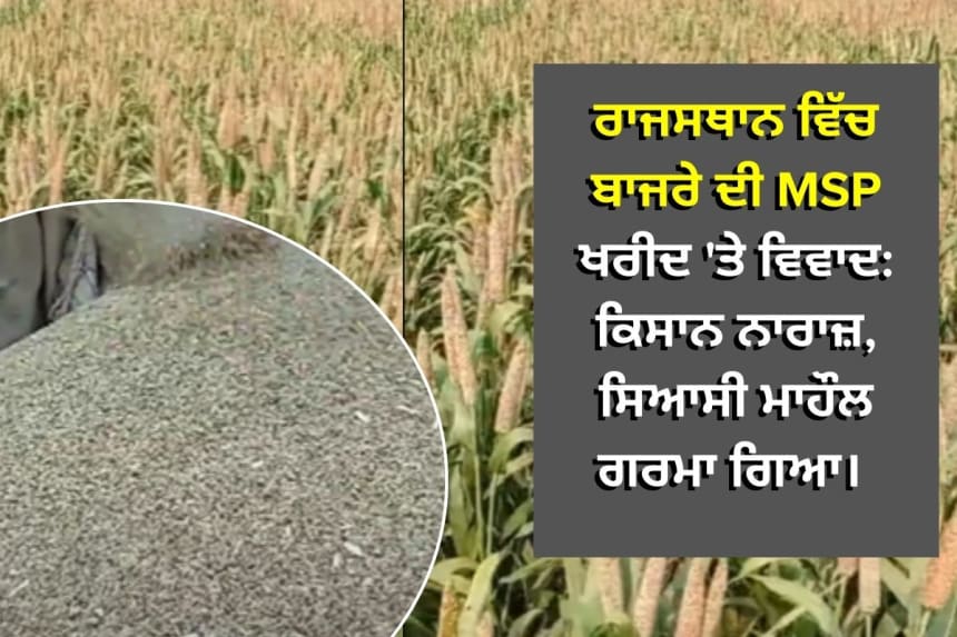 ਰਾਜਸਥਾਨ ਵਿੱਚ ਬਾਜਰੇ ਦੀ MSP ਖਰੀਦ 'ਤੇ ਵਿਵਾਦ: ਕਿਸਾਨ ਨਾਰਾਜ਼, ਸਿਆਸੀ ਮਾਹੌਲ ਗਰਮਾ ਗਿਆ।