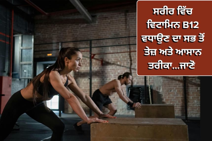 ਸਰੀਰ ਵਿੱਚ ਵਿਟਾਮਿਨ B12 ਵਧਾਉਣ ਦਾ ਸਭ ਤੋਂ ਤੇਜ਼ ਅਤੇ ਆਸਾਨ ਤਰੀਕਾ...ਜਾਣੋ