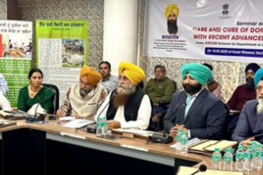 ਘੋੜਿਆਂ, ਗਧਿਆਂ ਅਤੇ ਖੱਚਰਾਂ ਲਈ ਮੁਫ਼ਤ ਟੈਟਨਸ ਟੀਕਾਕਰਨ – ਪੰਜਾਬ ਸਰਕਾਰ ਦੀ ਵੱਡੀ ਘੋਸ਼ਣਾ!