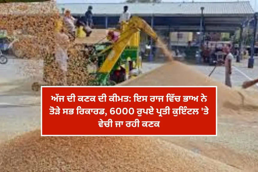 ਇਸ ਰਾਜ ਵਿੱਚ ਭਾਅ ਨੇ ਤੋੜੇ ਸਭ ਰਿਕਾਰਡ, 6000 ਰੁਪਏ ਪ੍ਰਤੀ ਕੁਇੰਟਲ