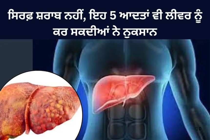 ਸਿਰਫ਼ ਸ਼ਰਾਬ ਨਹੀਂ, ਇਹ 5 ਆਦਤਾਂ ਵੀ ਲੀਵਰ ਨੂੰ ਕਰ ਸਕਦੀਆਂ ਨੇ ਨੁਕਸਾਨ