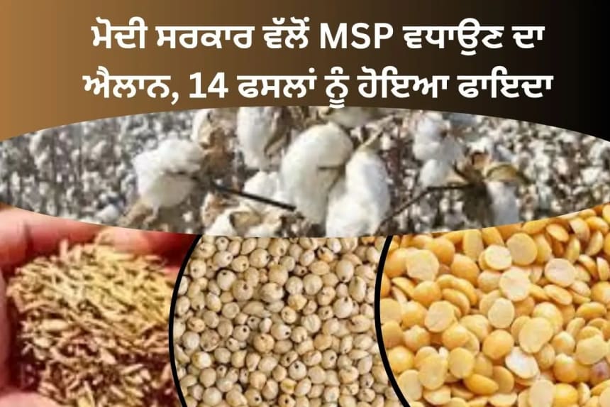ਮੋਦੀ ਸਰਕਾਰ ਵੱਲੋਂ MSP ਵਧਾਉਣ ਦਾ ਐਲਾਨ, 14 ਫਸਲਾਂ ਨੂੰ ਹੋਇਆ ਫਾਇਦਾ