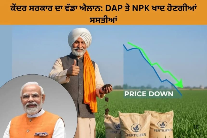 DAP ਤੇ NPK ਖਾਦ ਹੋਣਗੀਆਂ ਸਸਤੀਆਂ, ਕੈਬਨਿਟ ਨੇ 28,000 ਕਰੋੜ ਦੀ ਸਬਸਿਡੀ ਮਨਜ਼ੂਰ ਕੀਤੀ