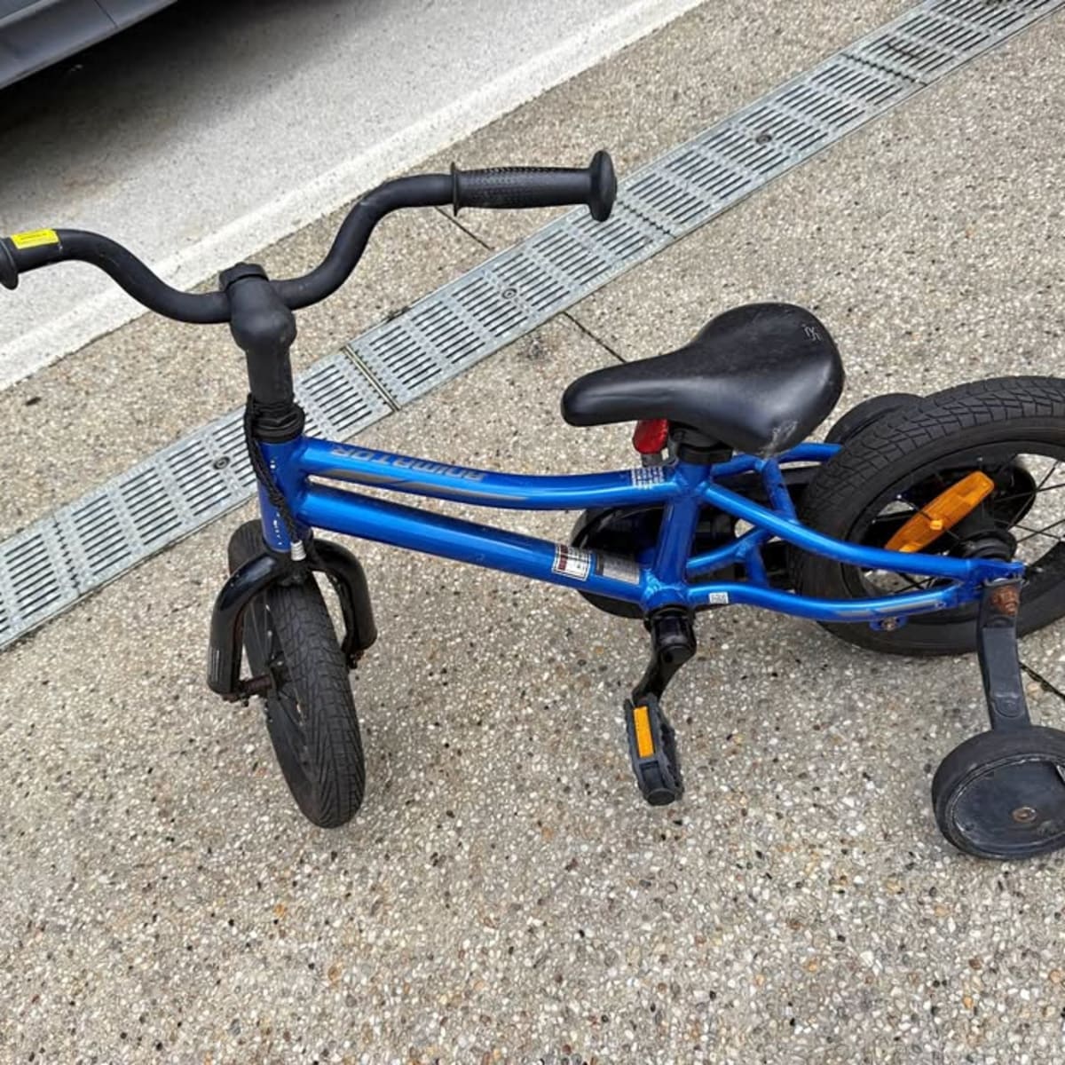 Giant Animator Kids Bike with Training Wheels