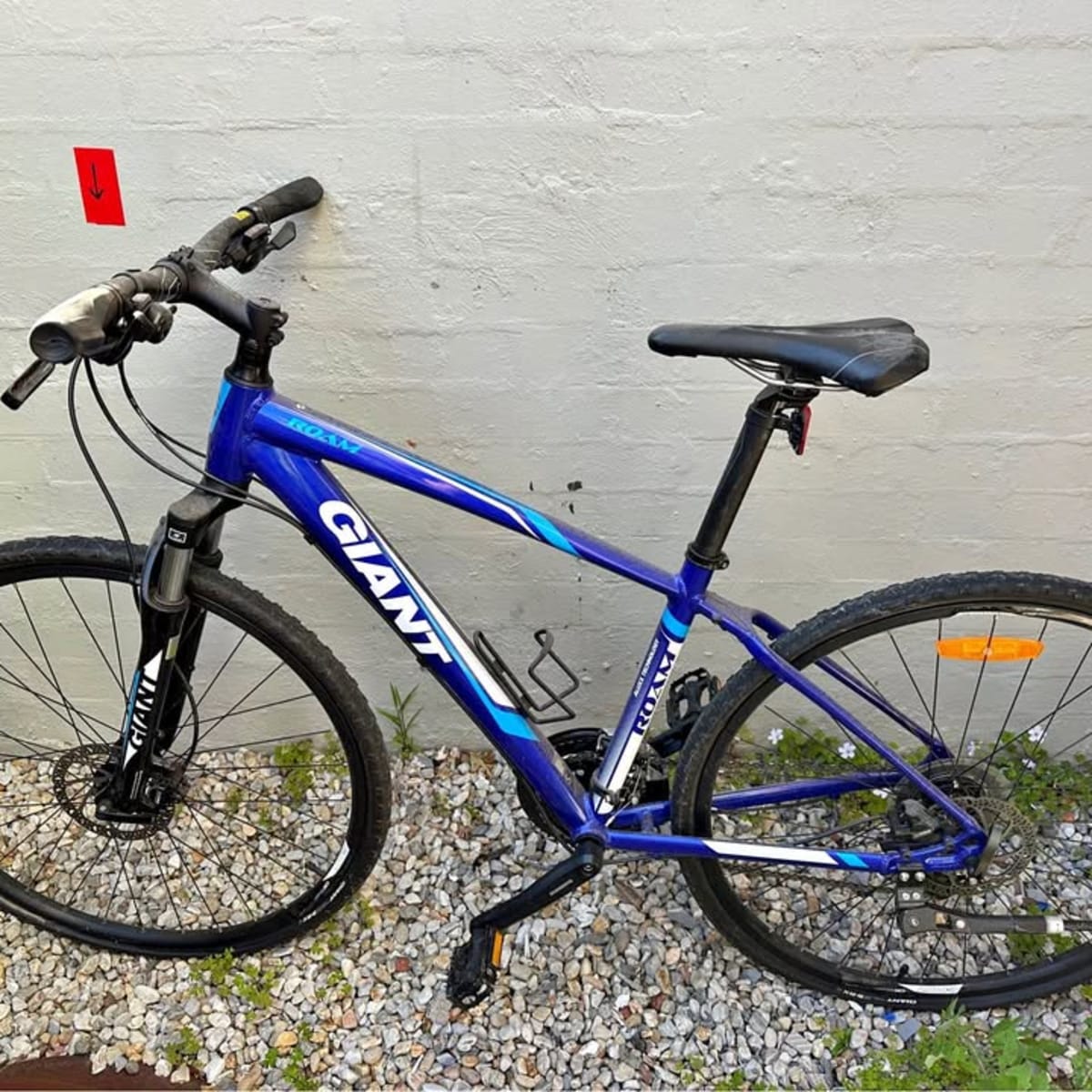 Giant Roam Hybrid, Large Frame