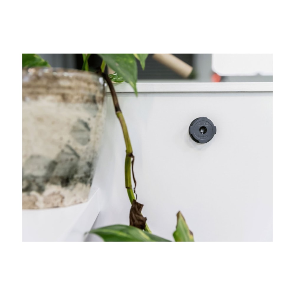 Quad Lock Adhesive Wall Mount V2 Twin Pack