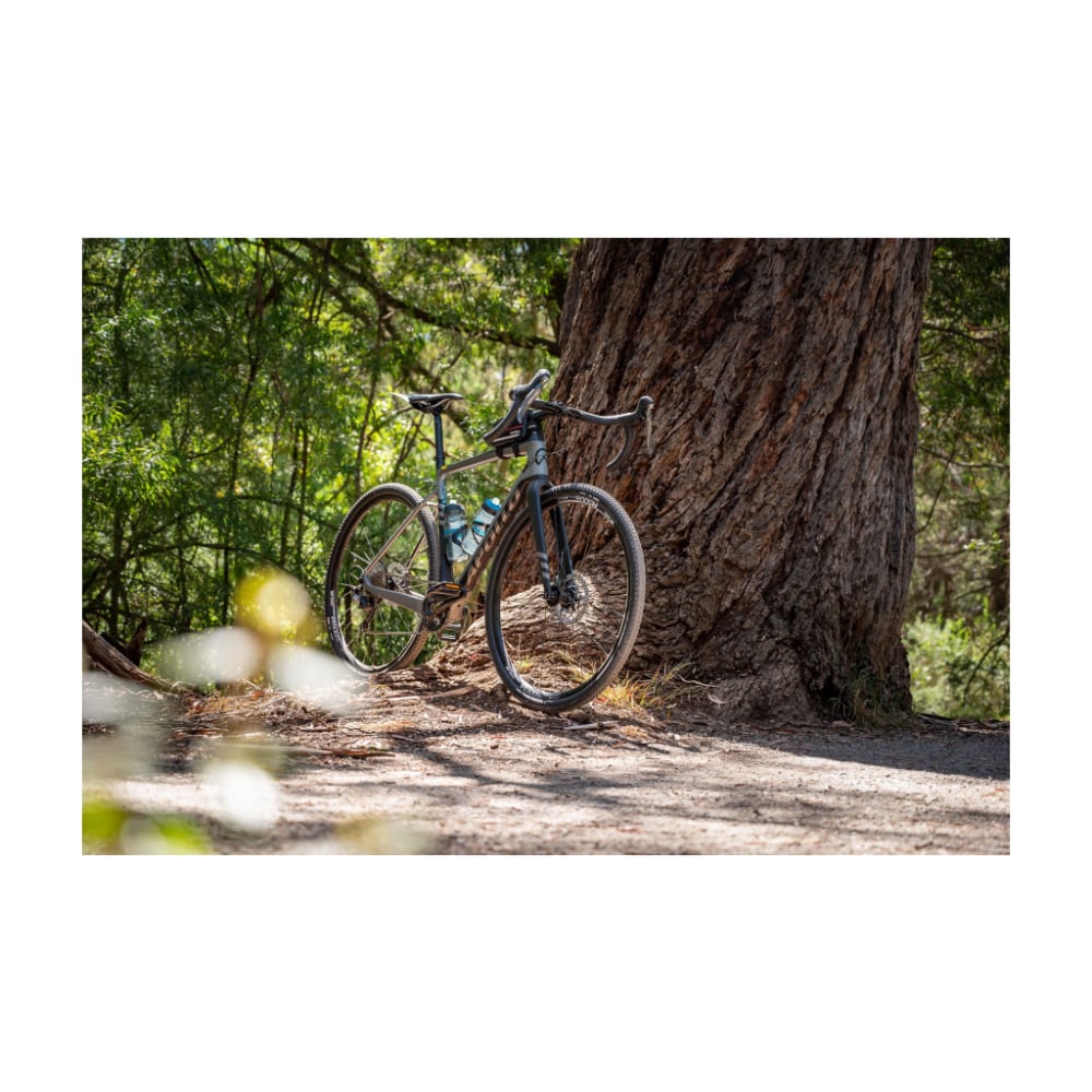 Apollo Scout 31X Mountain Bike, Matte Charcoal/Black, X-Large