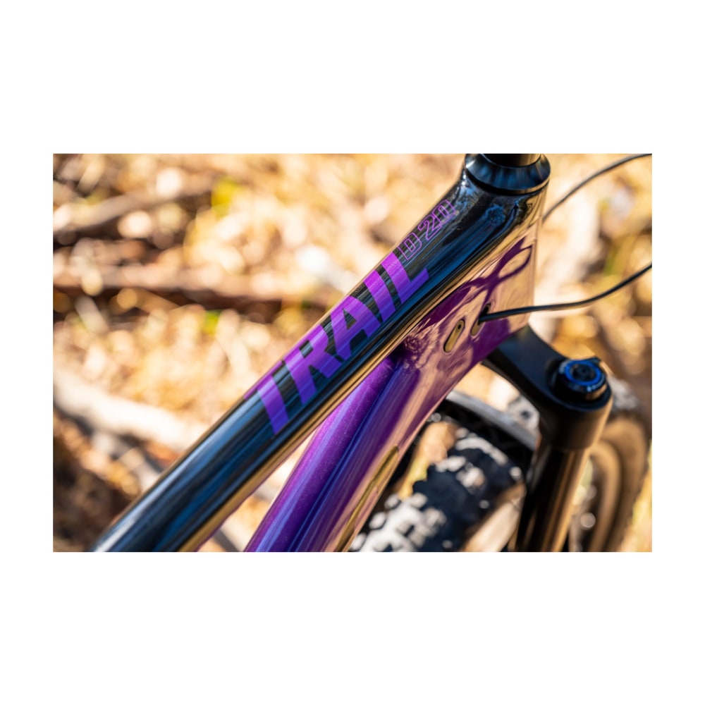 Apollo Trail D 20 Mountain Bike, Gloss Purple/Black, Large