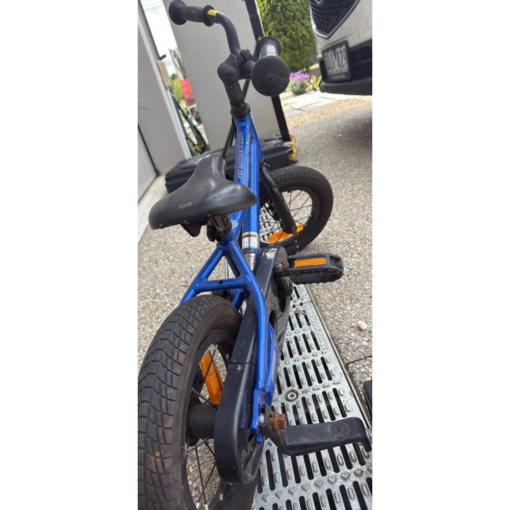 Giant Animator Kids Bike with Training Wheels