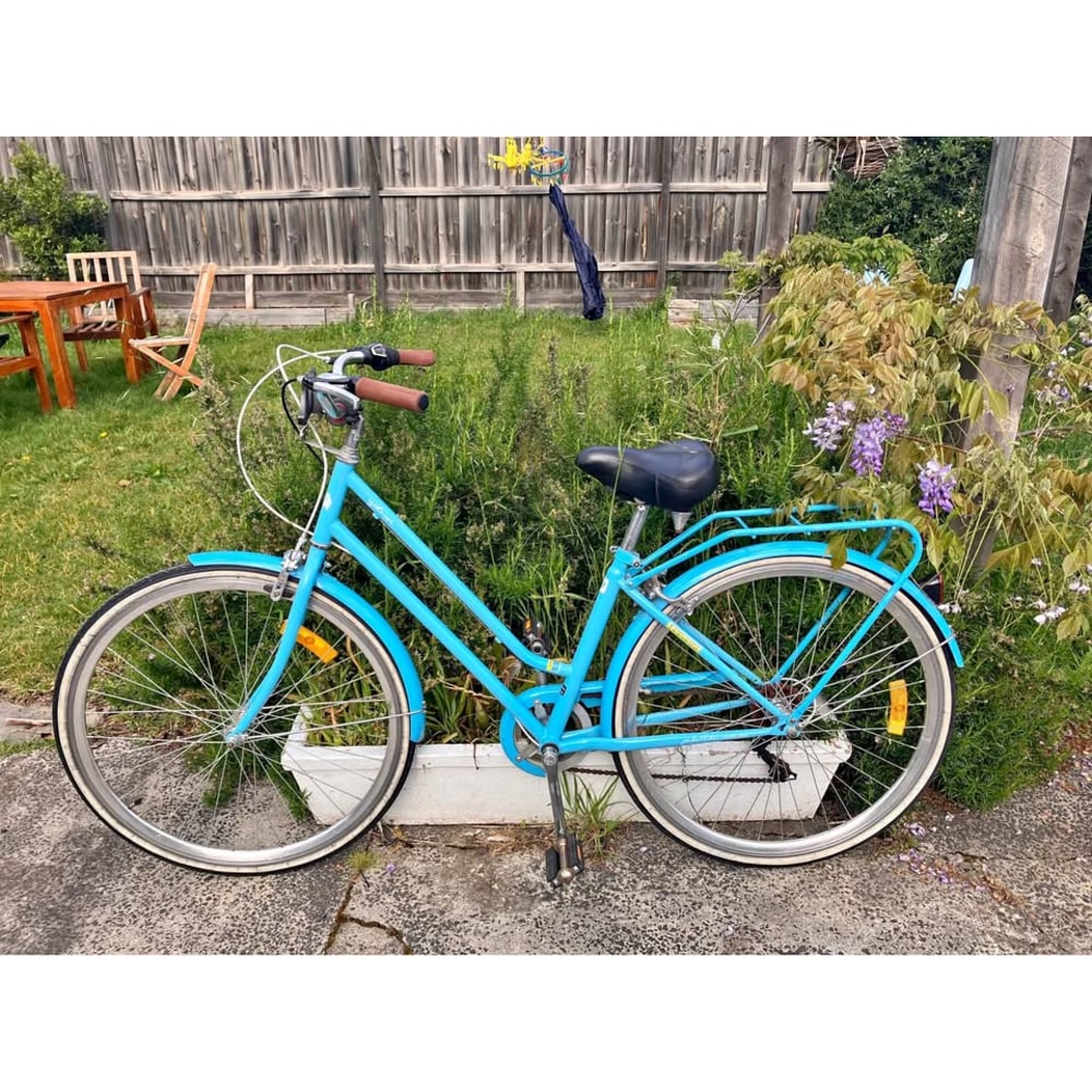 Pedal City Bike, Medium