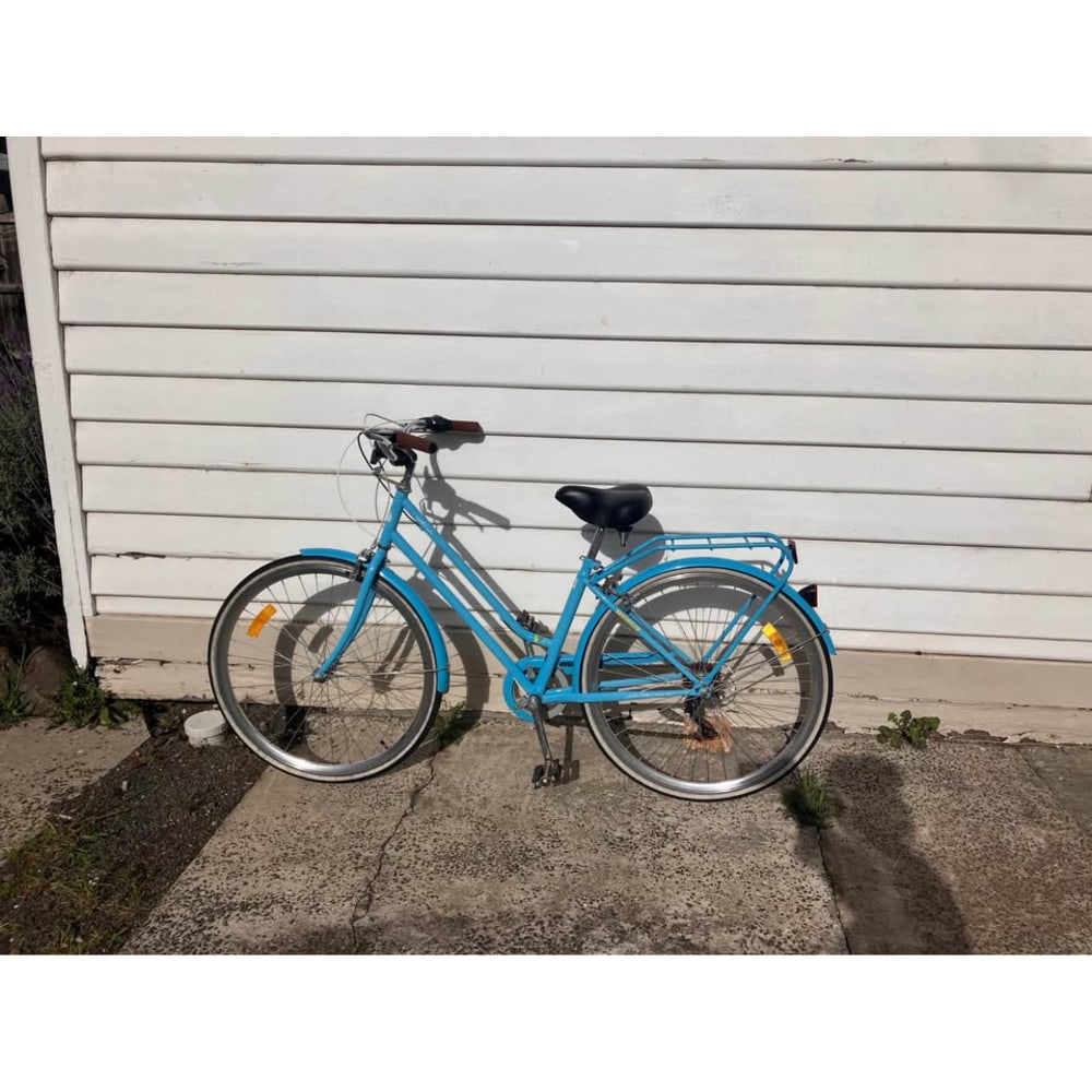 Pedal City Bike, Medium