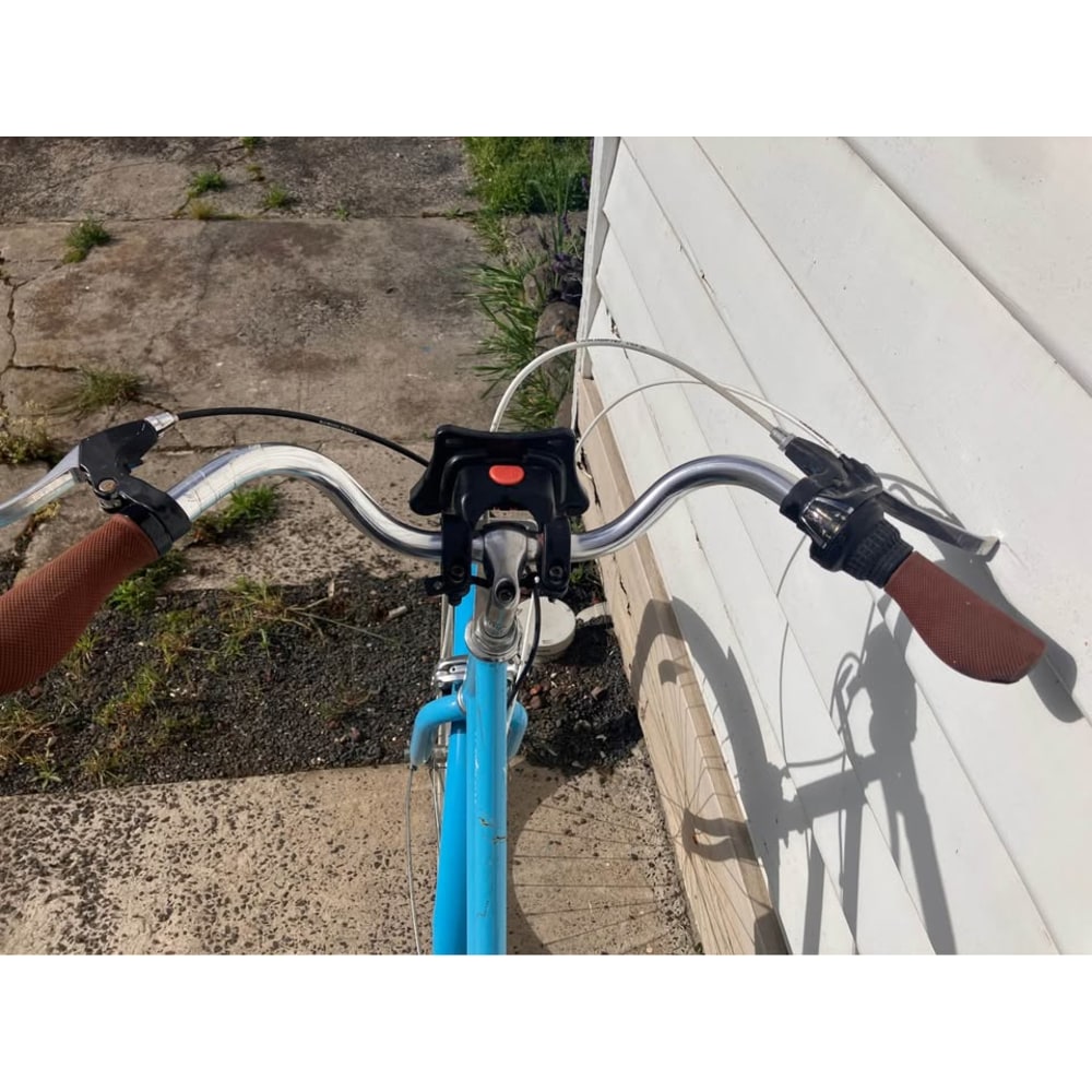 Pedal City Bike, Medium
