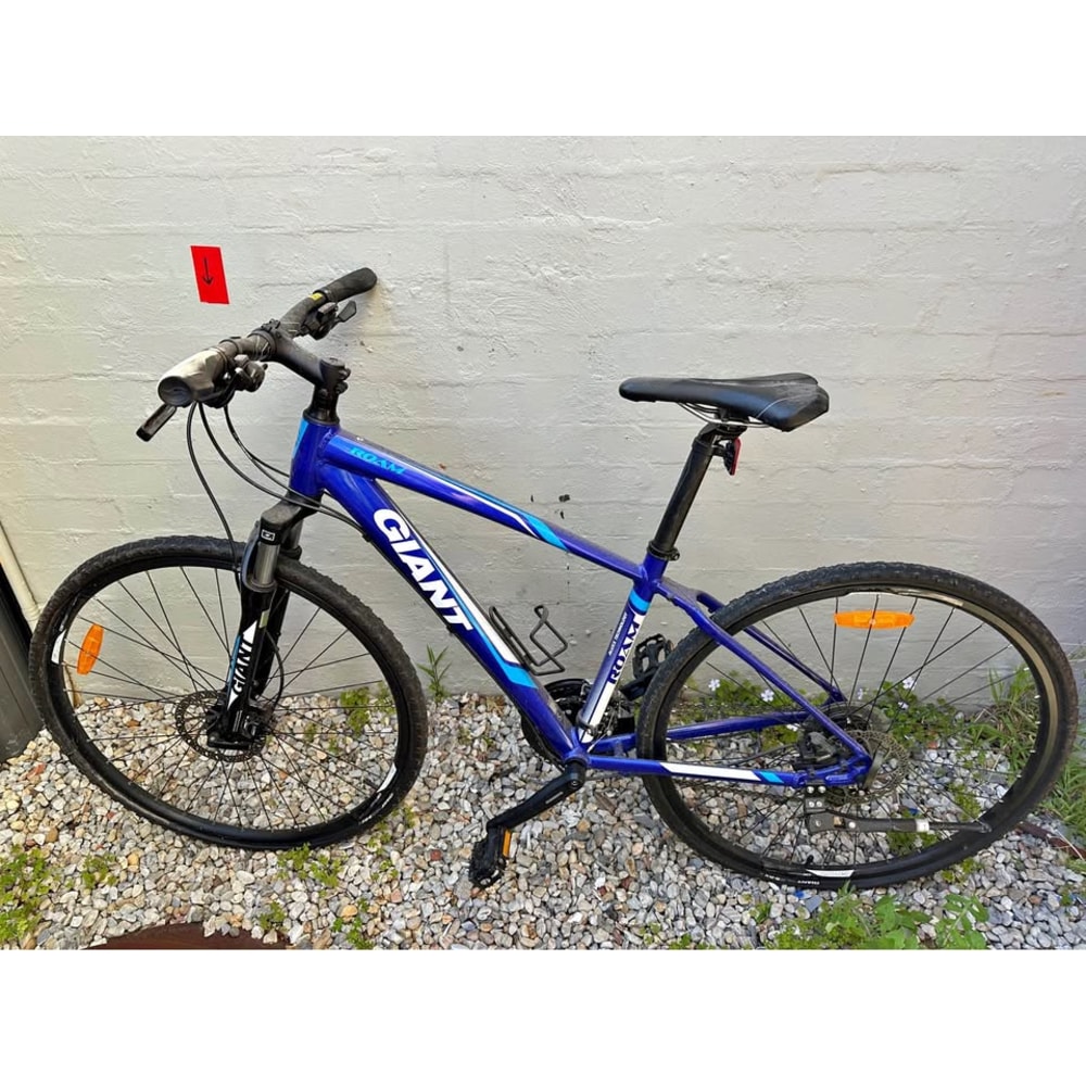 Giant Roam Hybrid, Large Frame