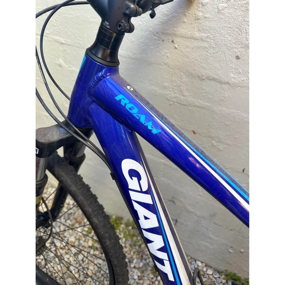 Giant Roam Hybrid, Large Frame