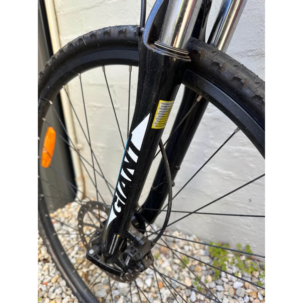Giant Roam Hybrid, Large Frame
