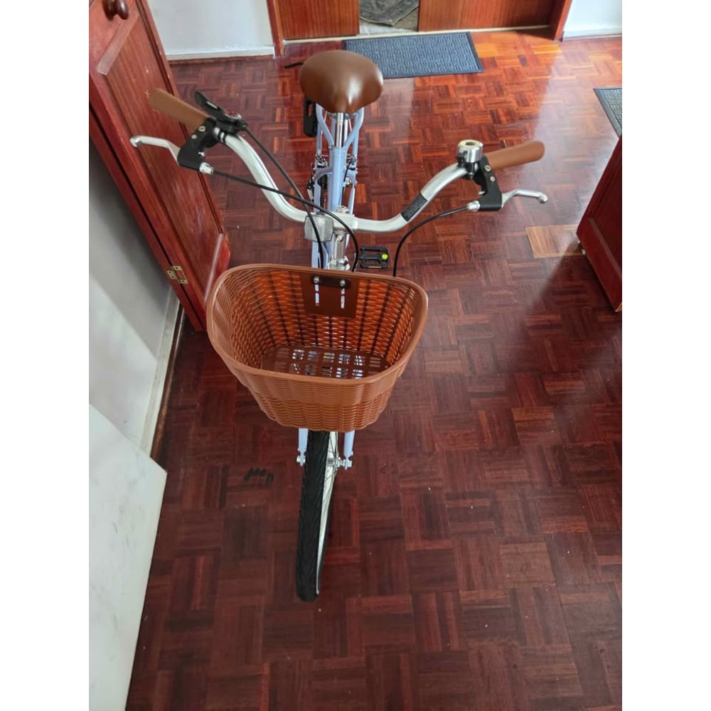 Light Blue Step-Through City Bike, 24-inch