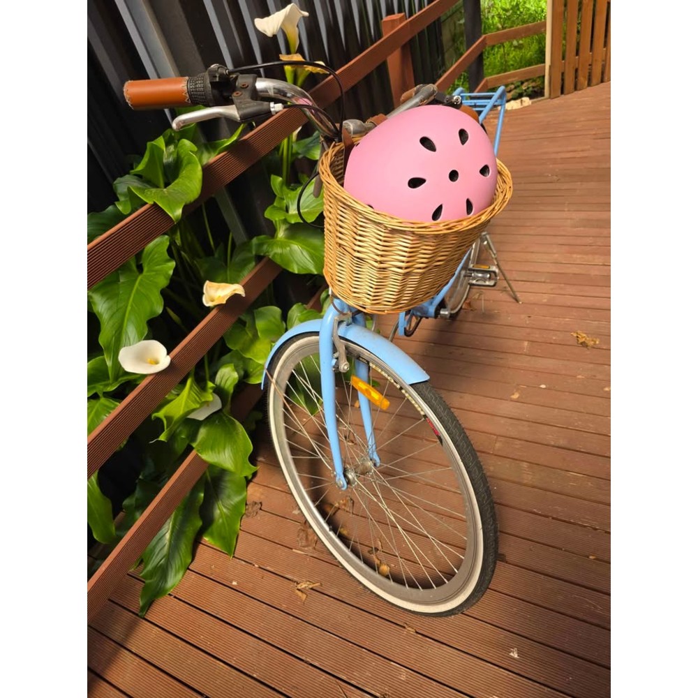 Vintage-Style Step-Through Cruiser, Light Blue