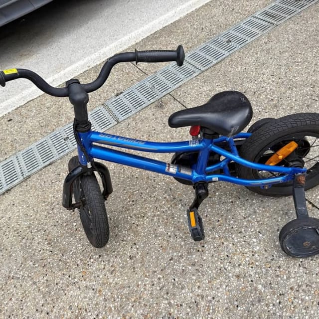 Giant Animator Kids Bike with Training Wheels