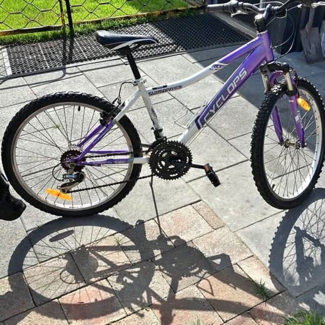 Cyclops 24-inch Kids Mountain Bike, 18-Speed
