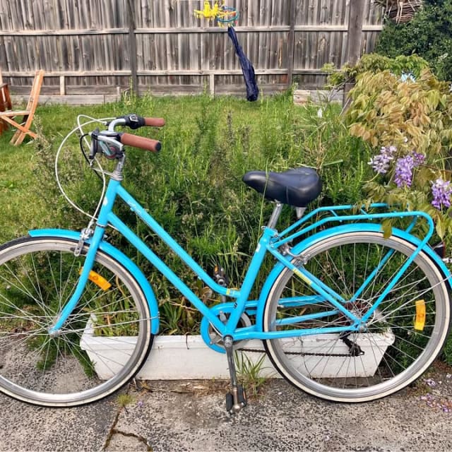 Pedal City Bike, Medium