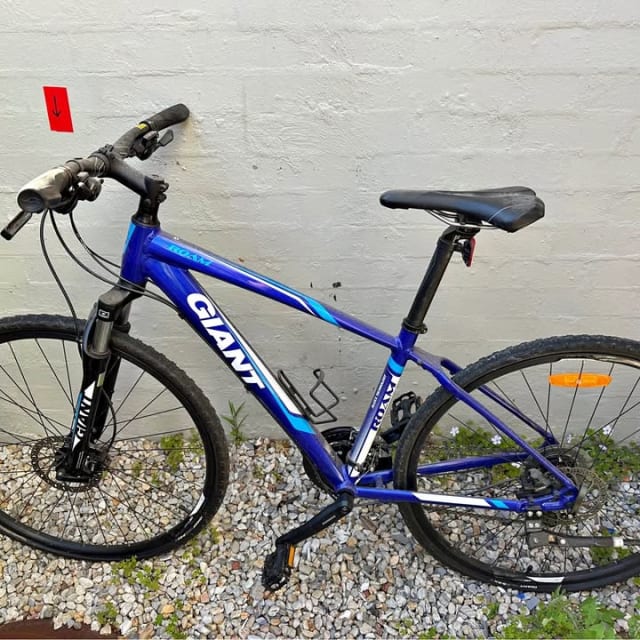 Giant Roam Hybrid, Large Frame