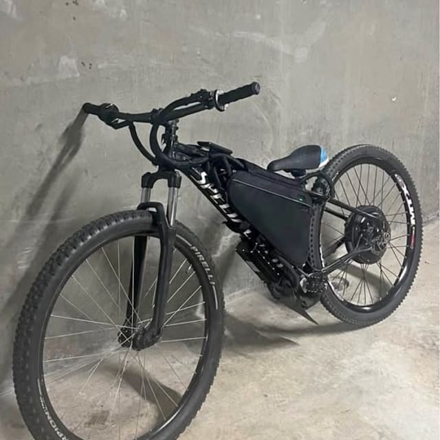 Specialized Rockhopper 29er E-Bike Conversion