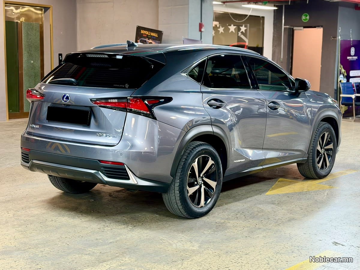 2018 Lexus NX 4