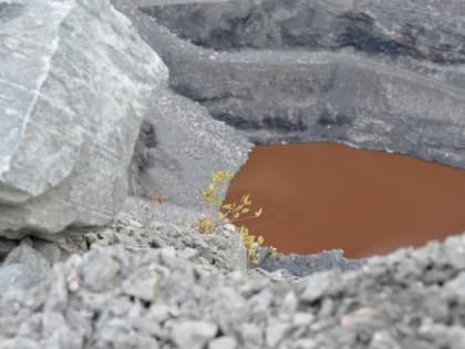 В Башкирии производитель щебня получил льготный микройзайм по нацпроекту