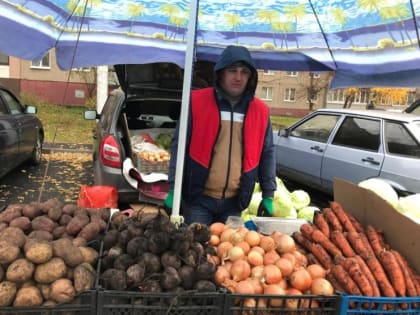 В Уфе прошли сельскохозяйственные ярмарки