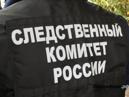 Житель Башкирии подозревается в развратных действиях в отношении школьницы